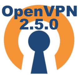 OpenVPN 2.5.0