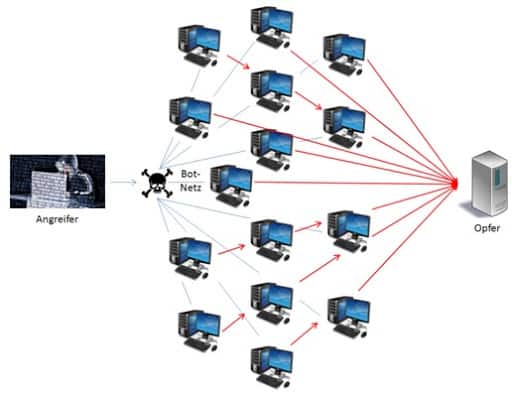 DDoS Netzwerk Schema